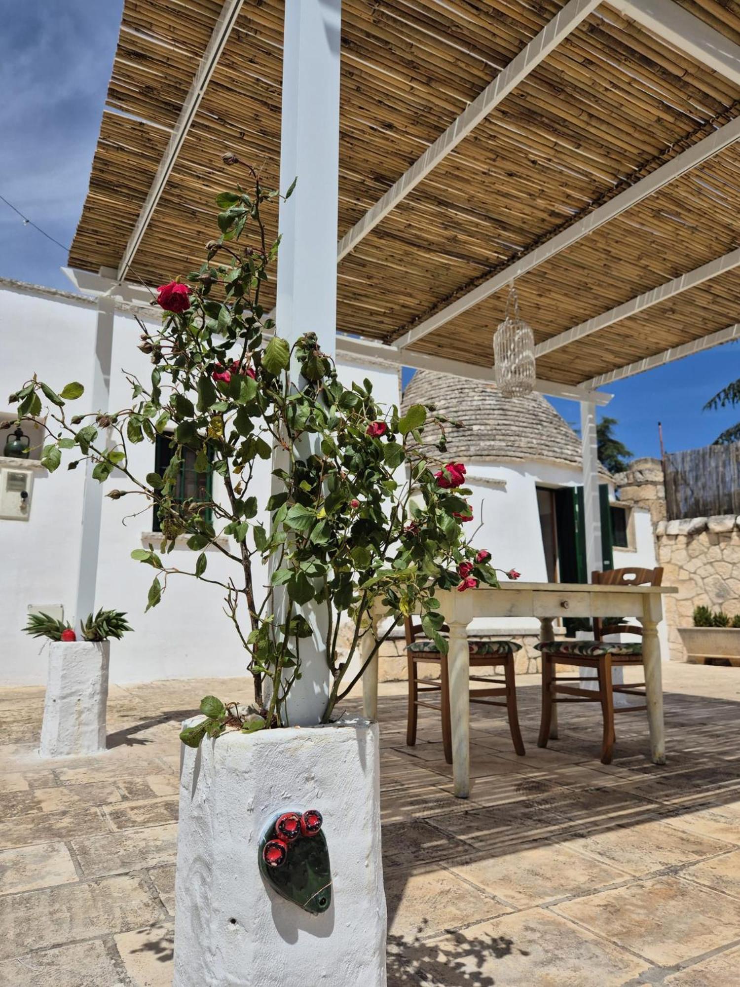 Вілла Trulli And Pool - I Cactus Мартіна-Франка Екстер'єр фото